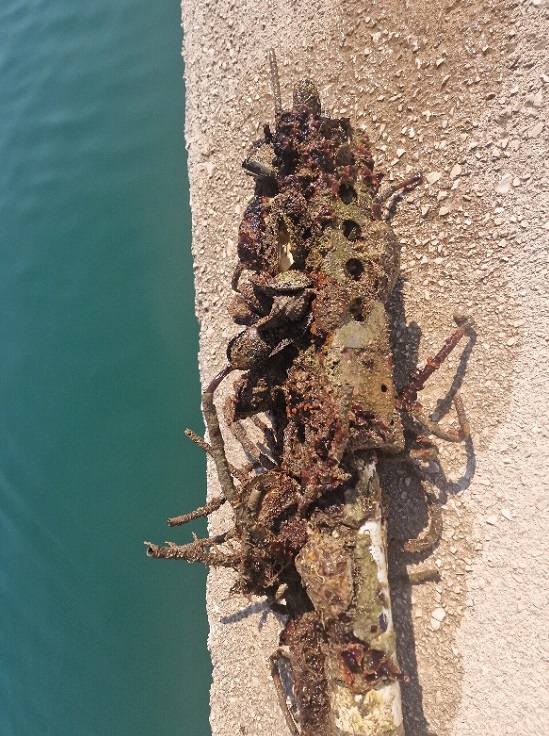 Zašto odabrati nas / Why choose us